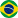 pt-br